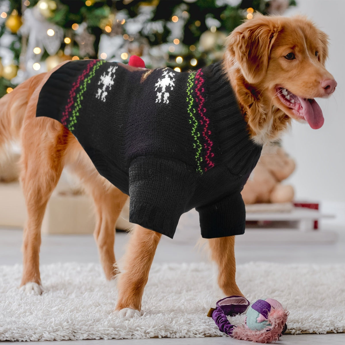 Holiday sweater for dog.