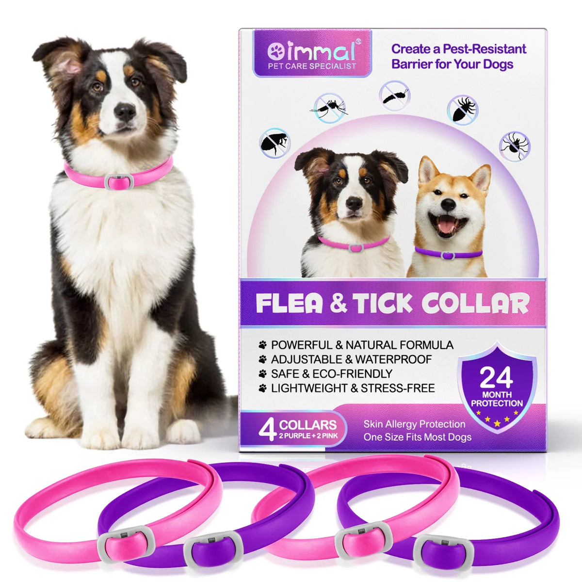 Dog health flea collar.