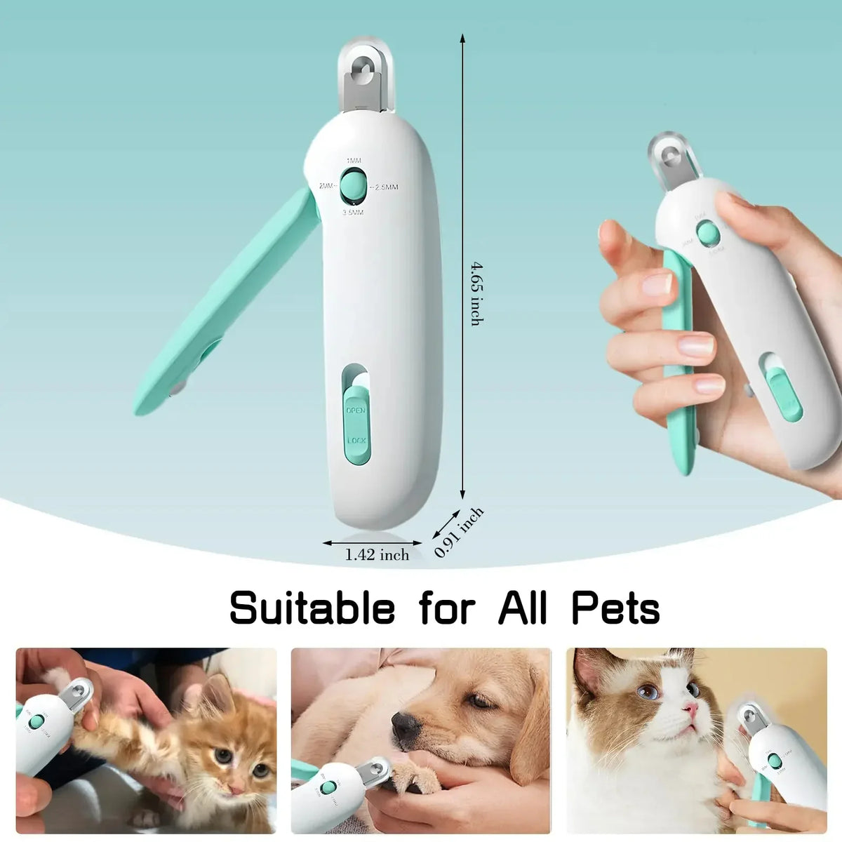 Dog Grooming