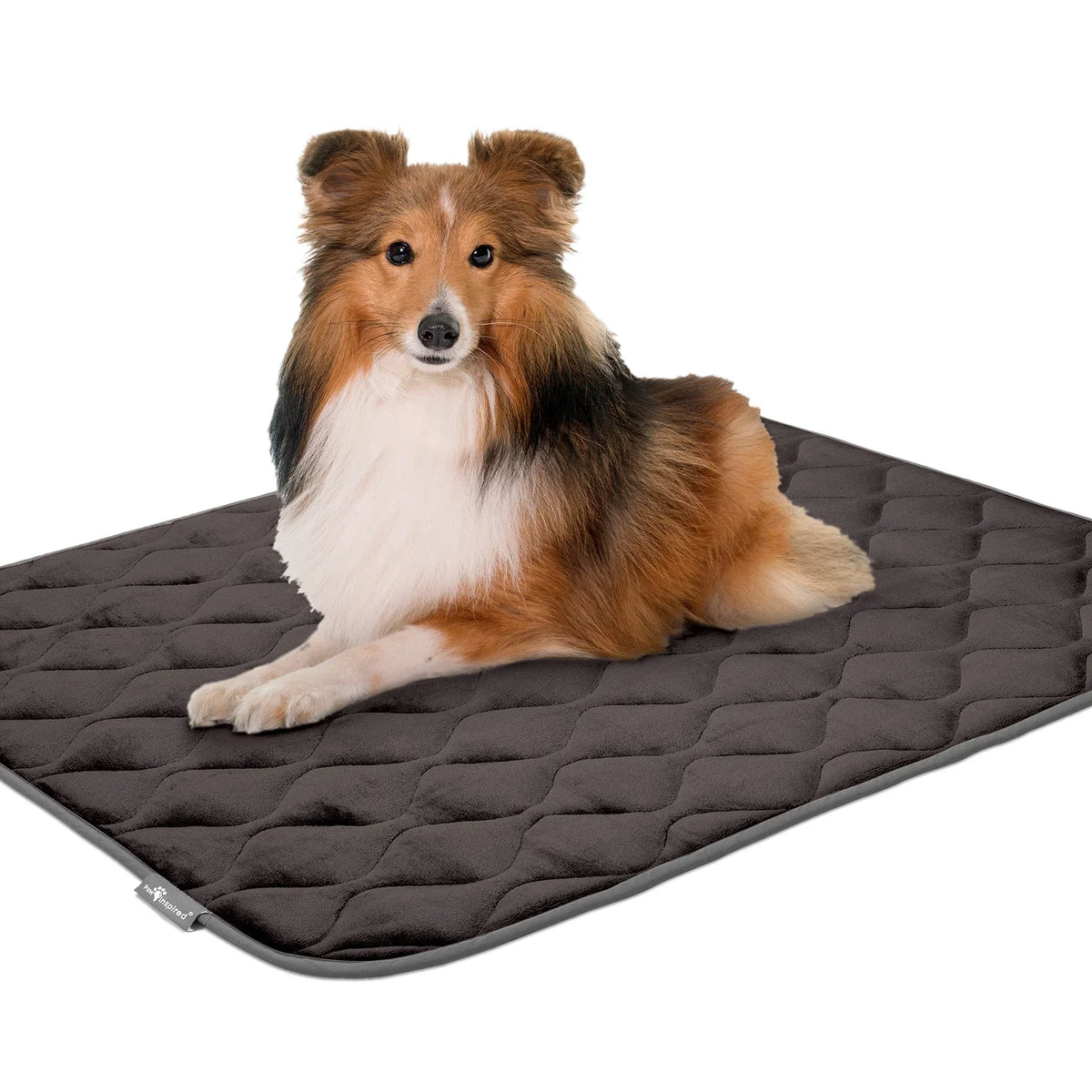 Dog crates and kennel mats