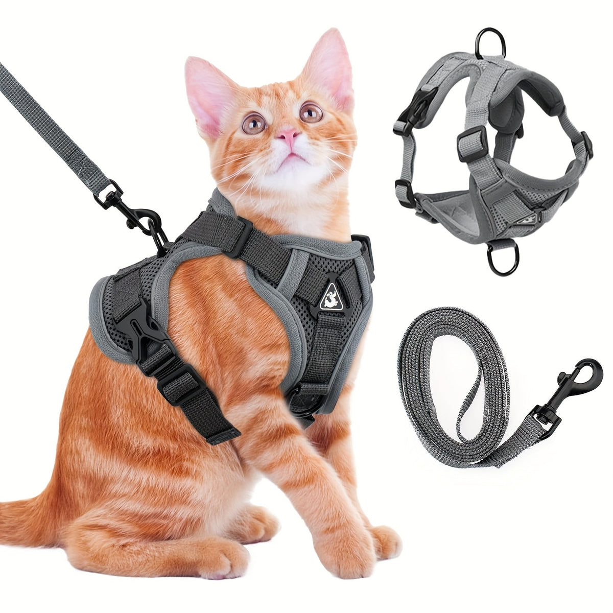Cat leash