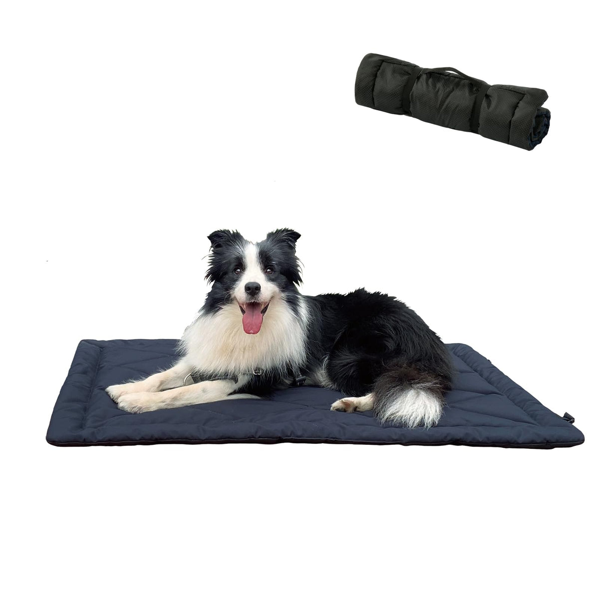 Dog bed travel