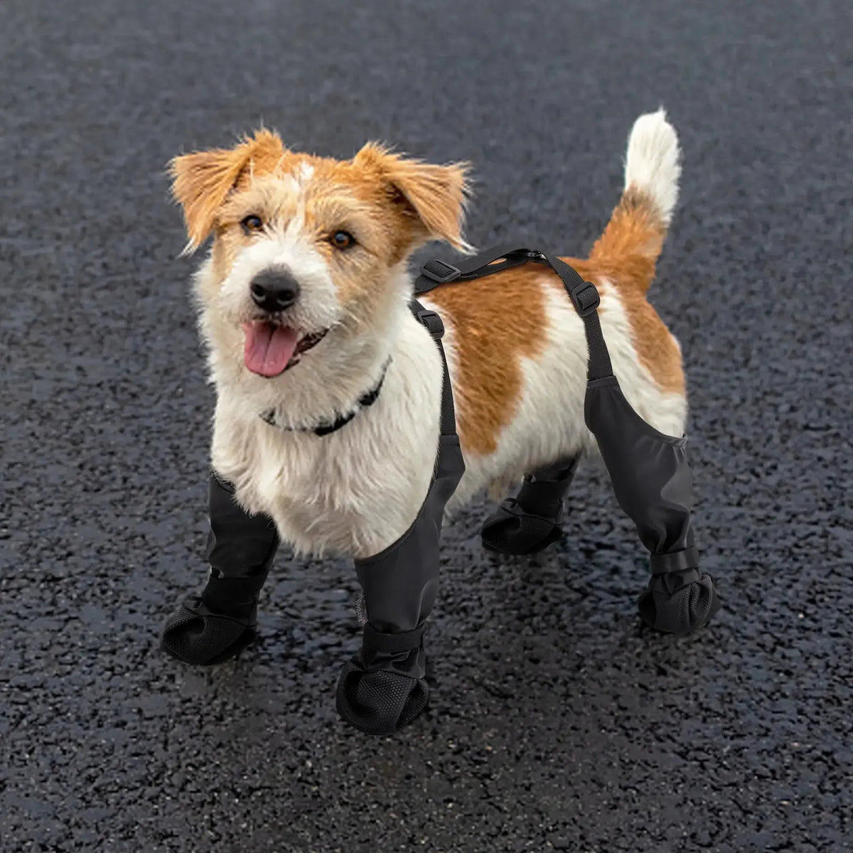 Dog shoes that will stay on.