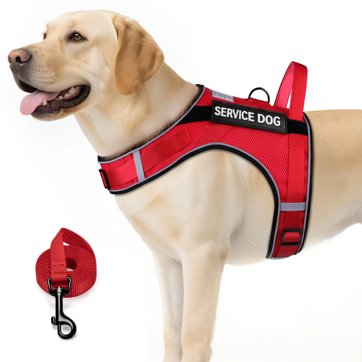 Dog harness for service dog