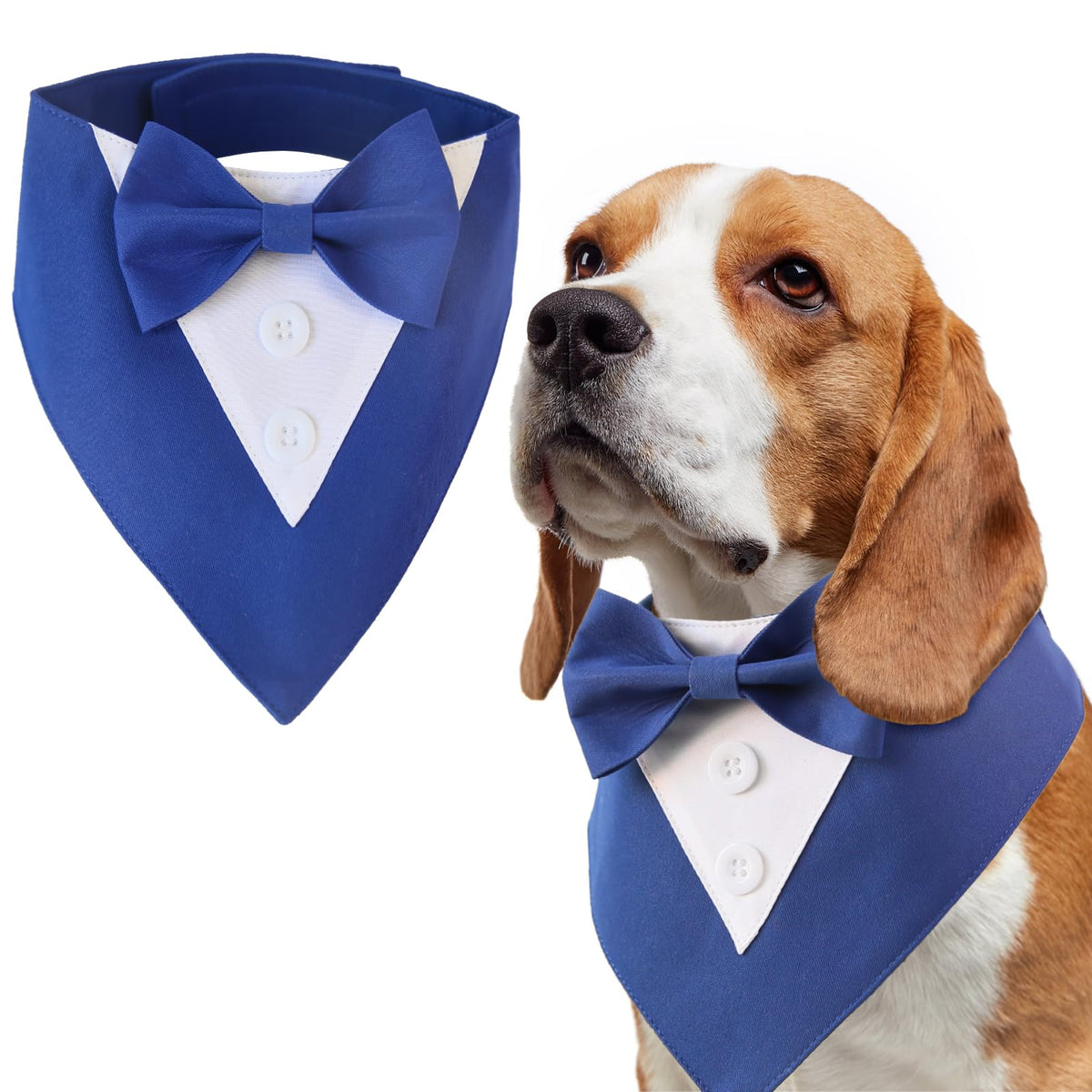 Dog collar bandana