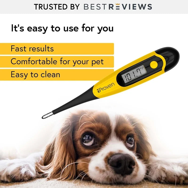 Dog digital thermometer