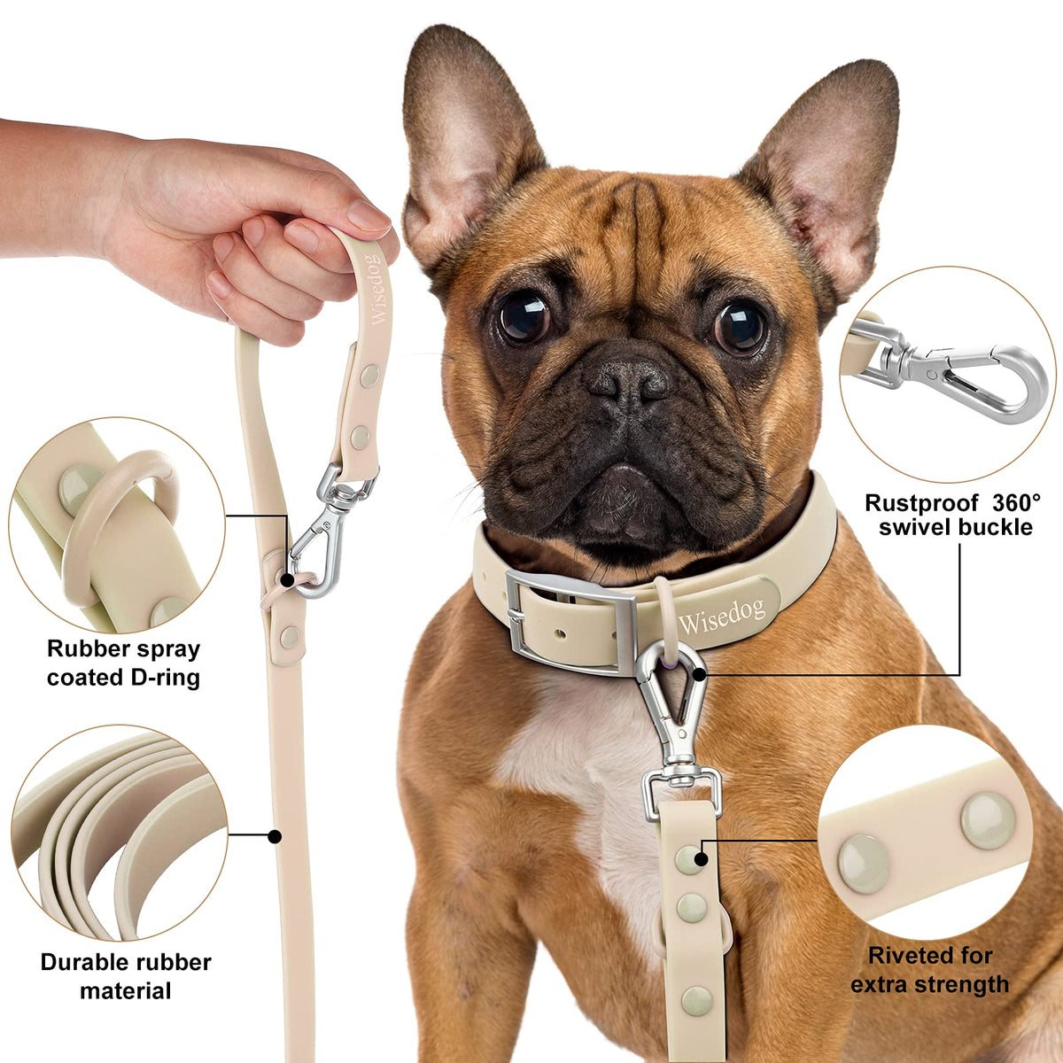 Leashes