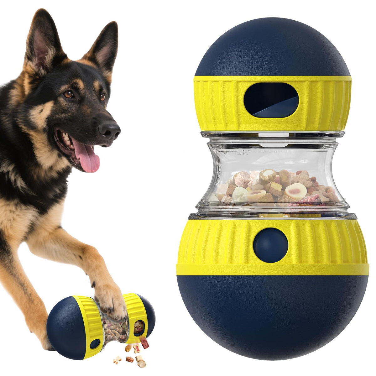 Dog treat dispenser