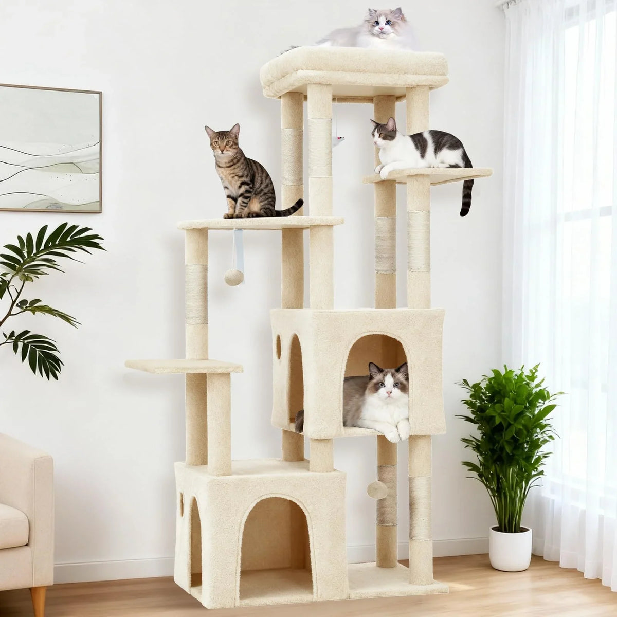 cat trees. cats love to climb up high and look down on things. this is the perfect spot for them.