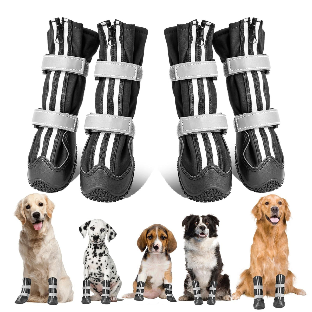 Dog boots