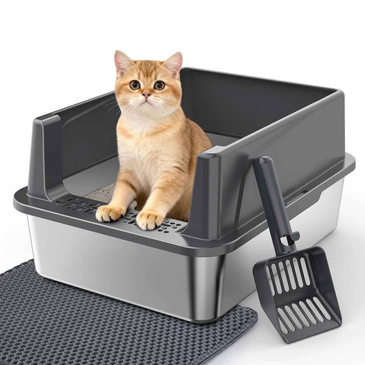 Litter box