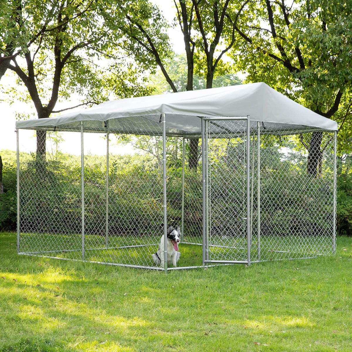 Dog outdoor enclosed fence