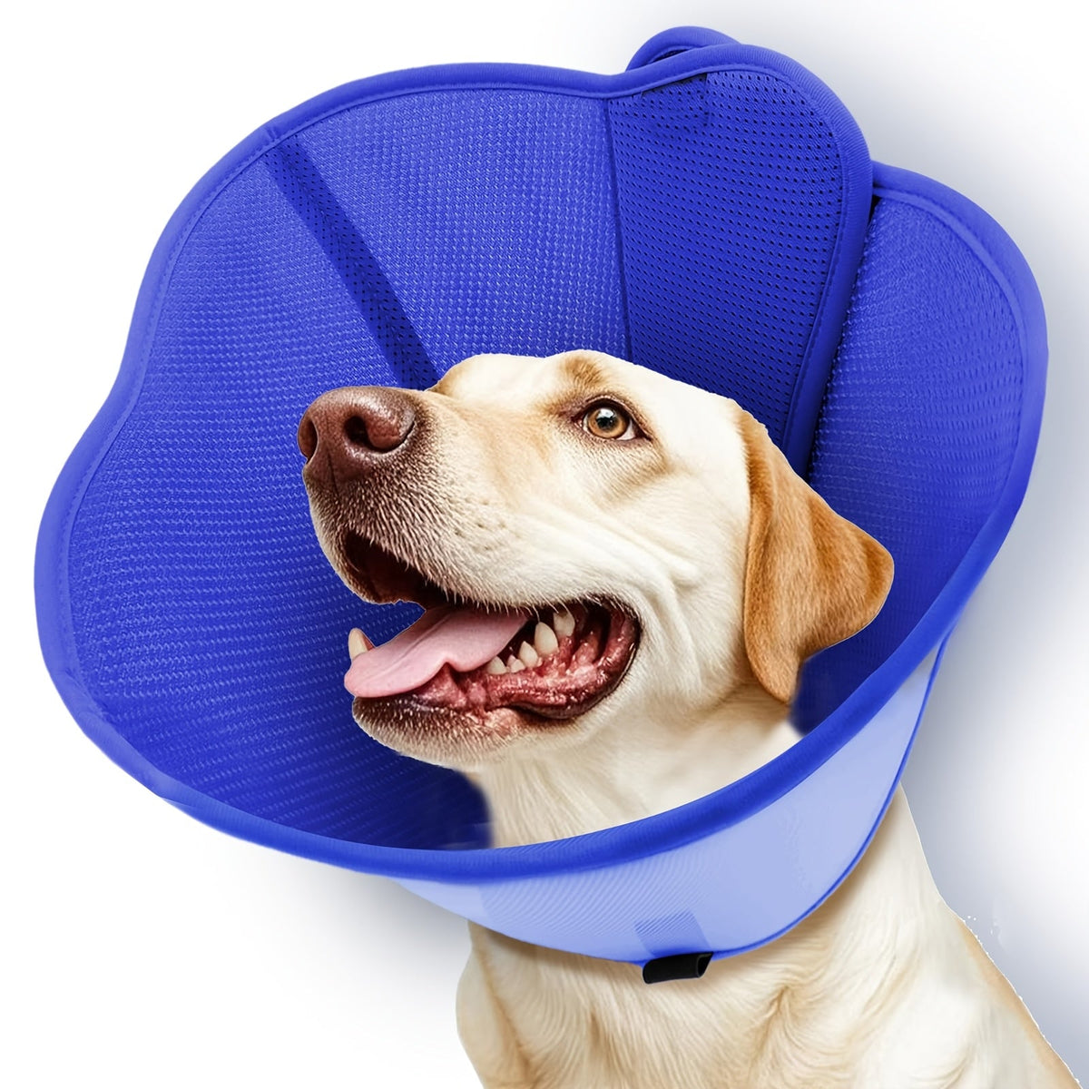 Dog soft recovery collar