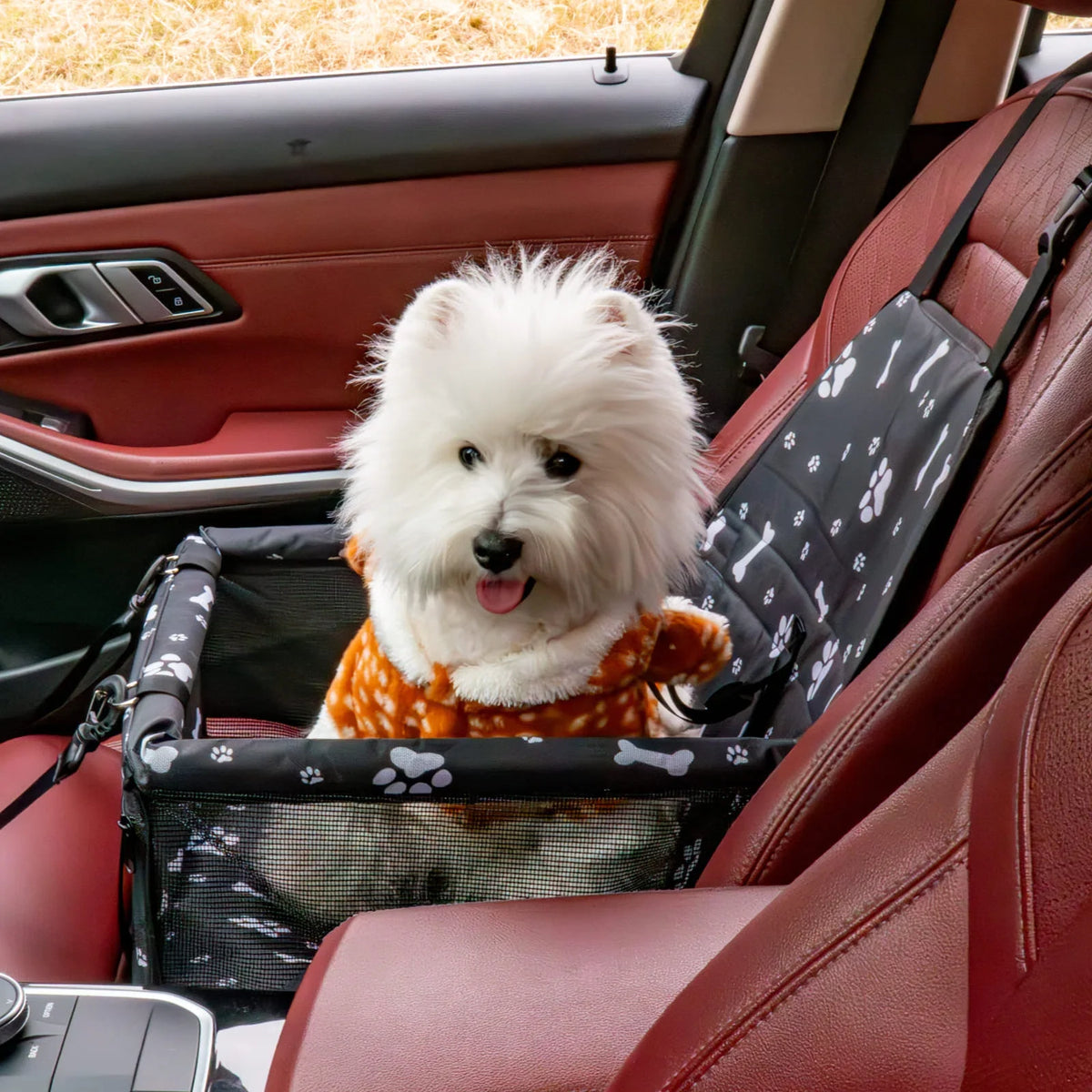 Dog travel car seat