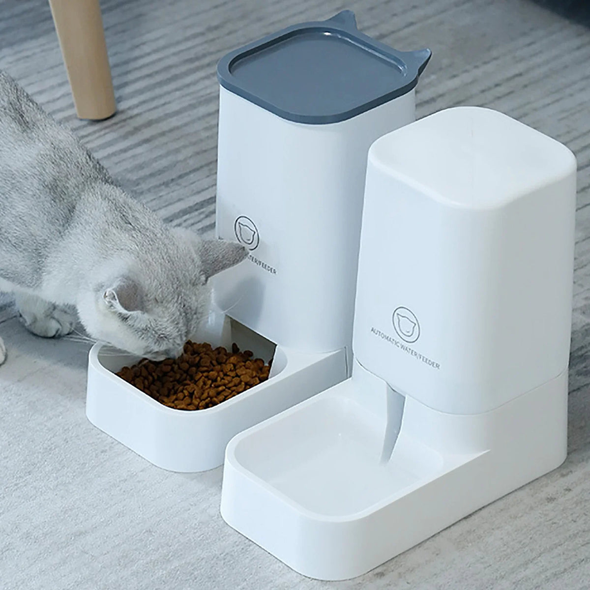 Cat automatic feeder