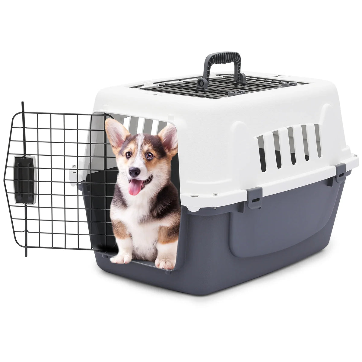 Dog travel carrier