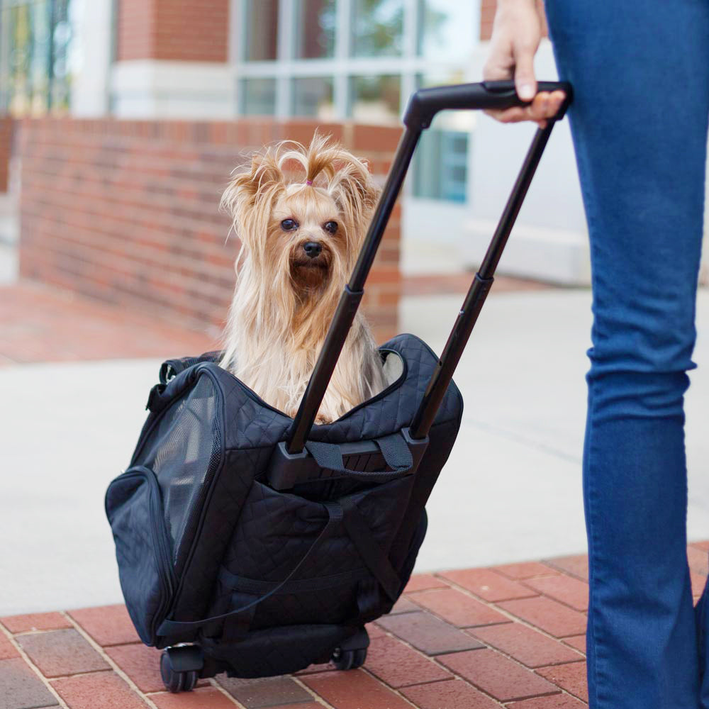 Dog flying carry case