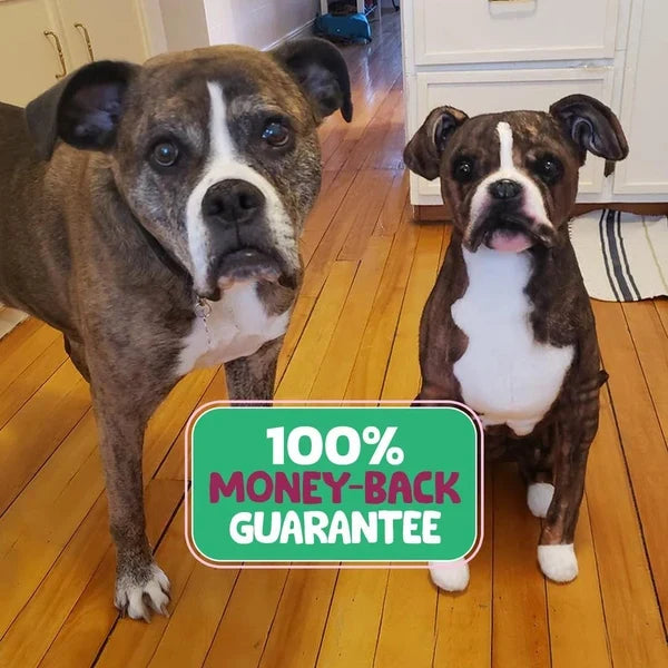 Custom Plush dog pet