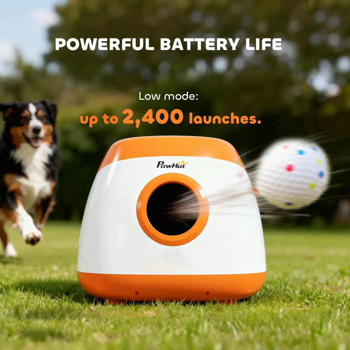Ball launcher for dogs