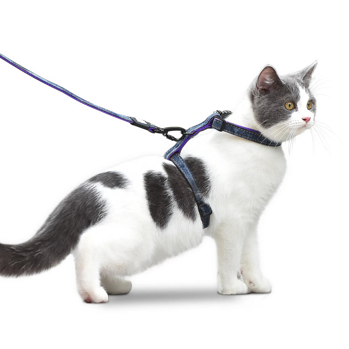 Cat leash