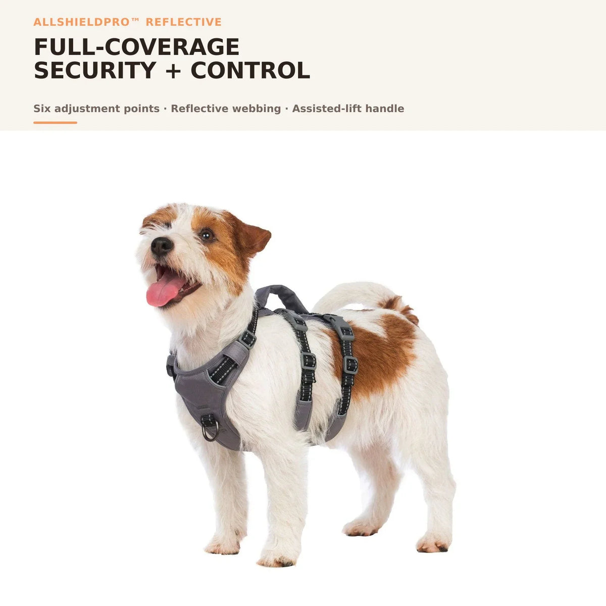 dog collar harness