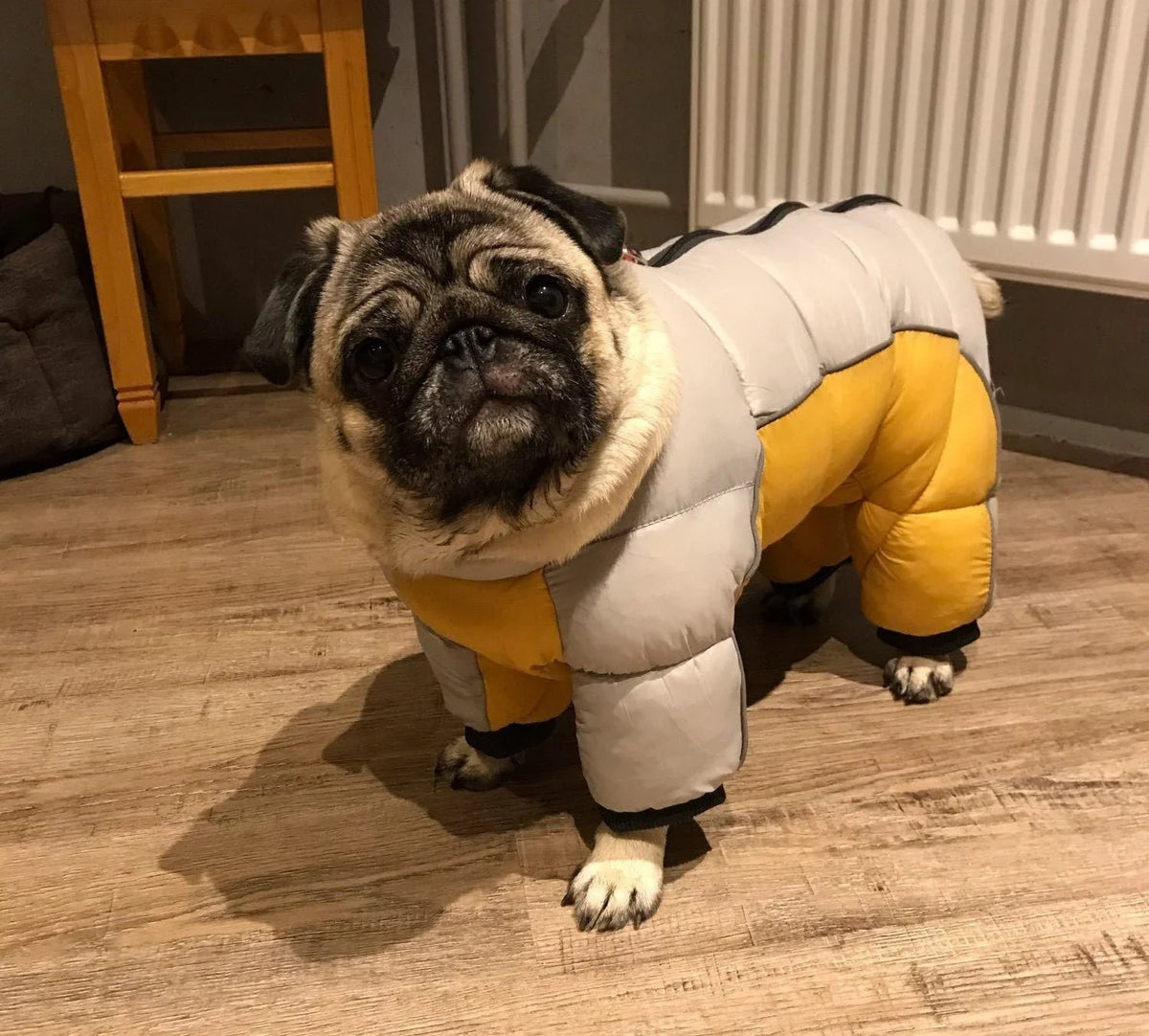 Dog puffer jacket
