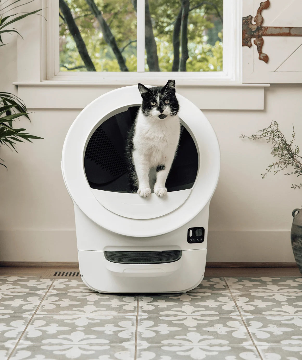 Litter box robot