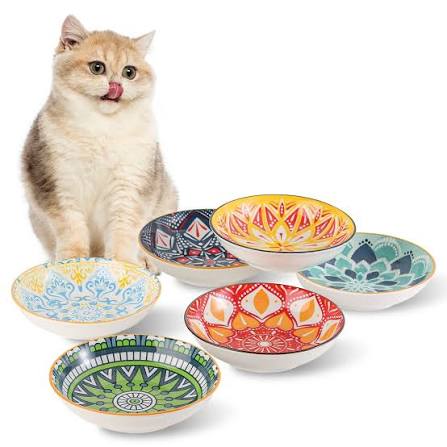 pretty cat feeding bowls