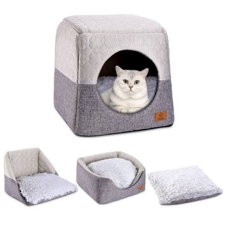 cat beds