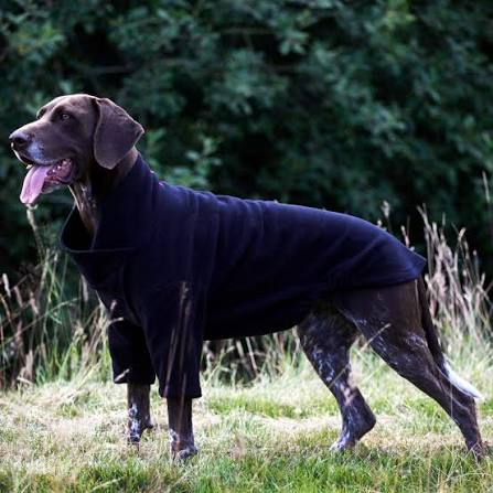 Dog fleece jacket