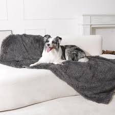 Dog throws