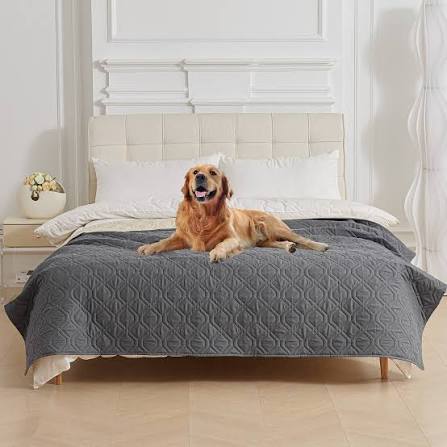 Dog blanket waterproof