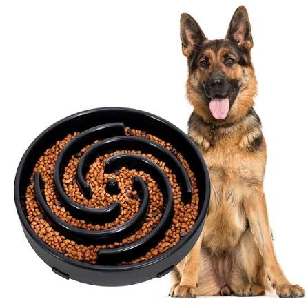 Dog slow feed bowl for dogs