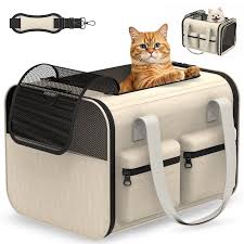 Cat travel carrier