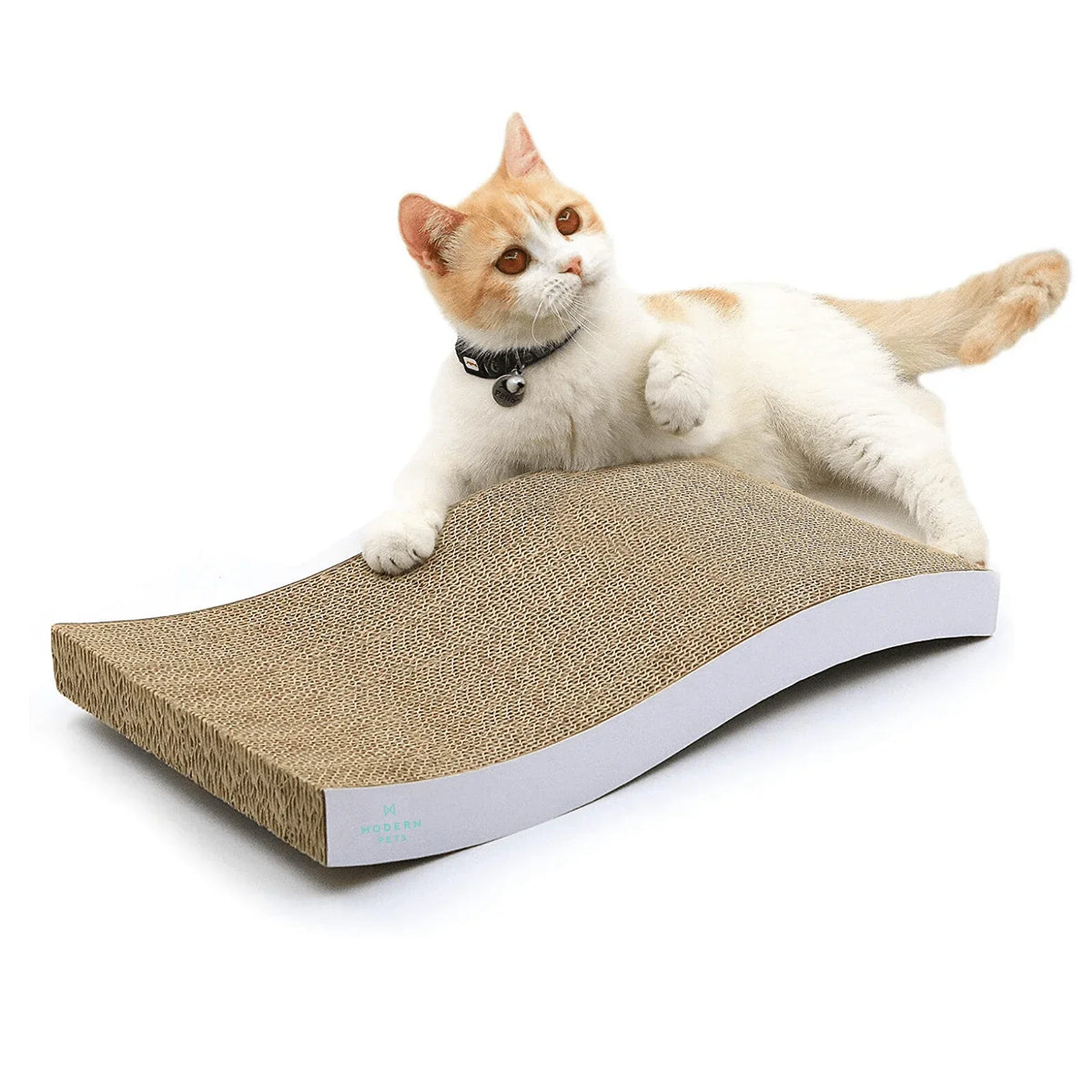 cat scratch pad
