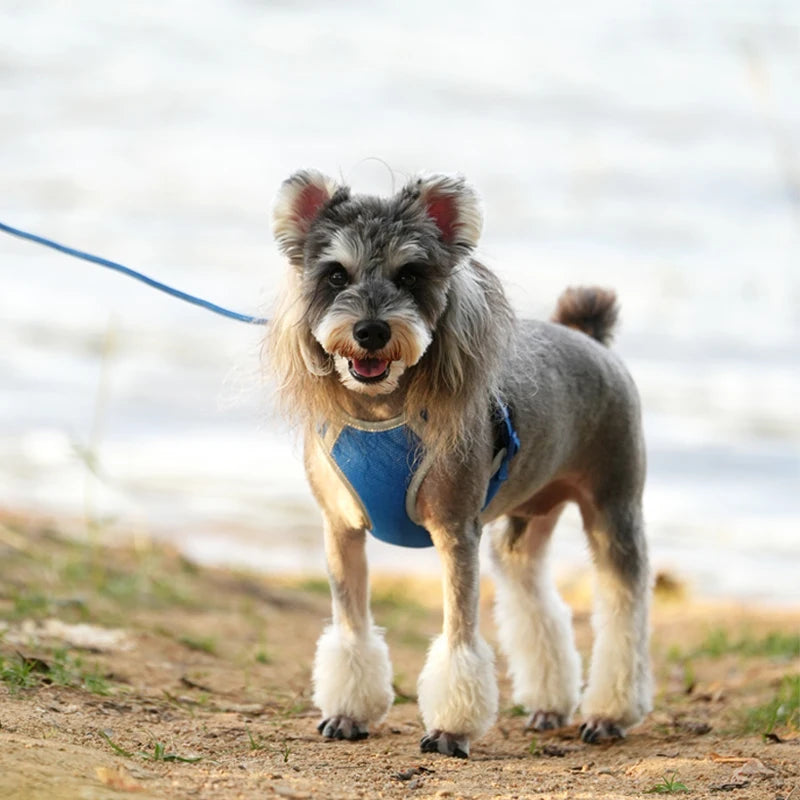 Cat Dog Harness Leash Set for Small Medium Dog Adjustable Pet Harness Reflective Breathable Outdoor Walking Pet Accessories