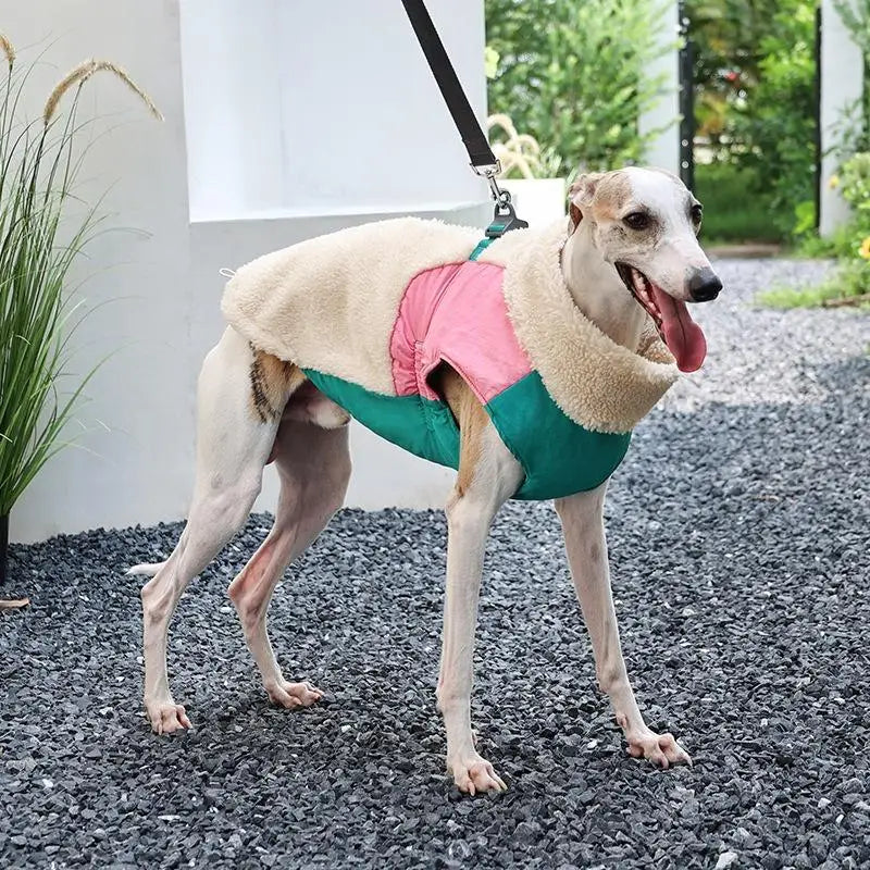 Winter Dog Coat Warm Windproof Lamb Fleece Vest Leash Clip Soft Pet Jacket Puppy Walking Cold Weather Outdoor Apparel