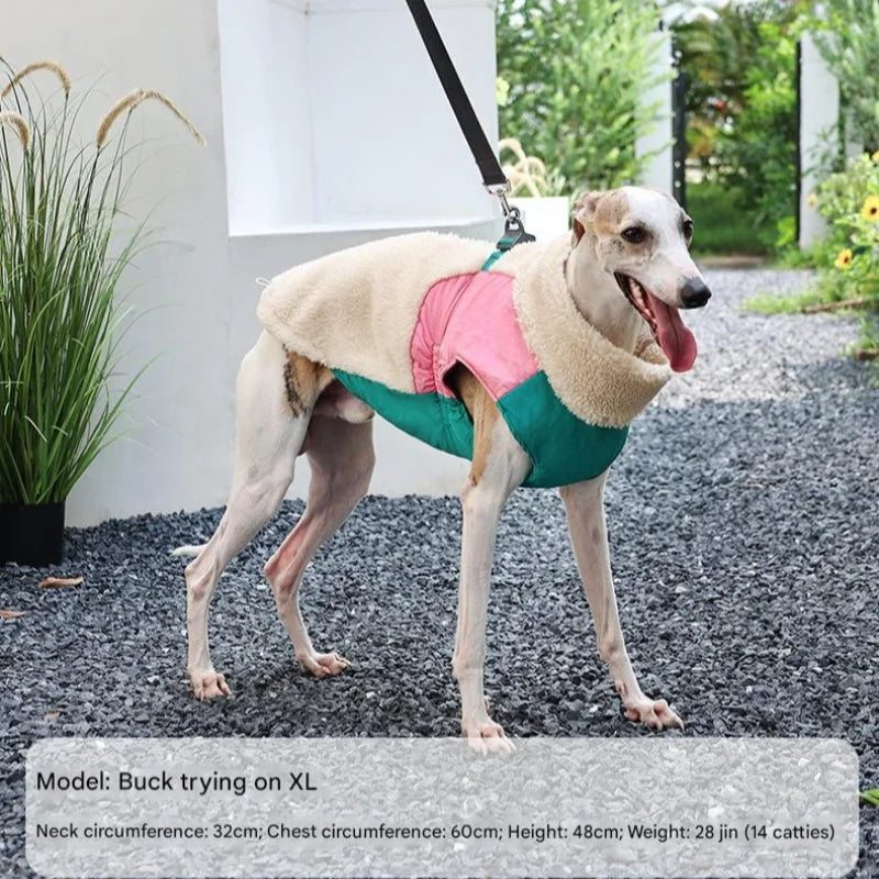 Winter Dog Coat Warm Windproof Lamb Fleece Vest Leash Clip Soft Pet Jacket Puppy Walking Cold Weather Outdoor Apparel